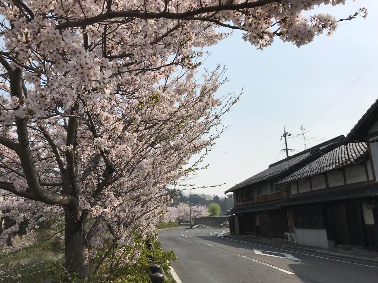 Guesthouse Mio Omihachiman Buitenkant foto